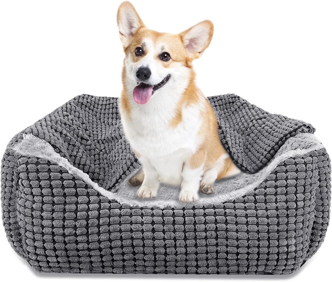 JOEJOY Dog Bed + Blanket cuna cueva para perros pequeños