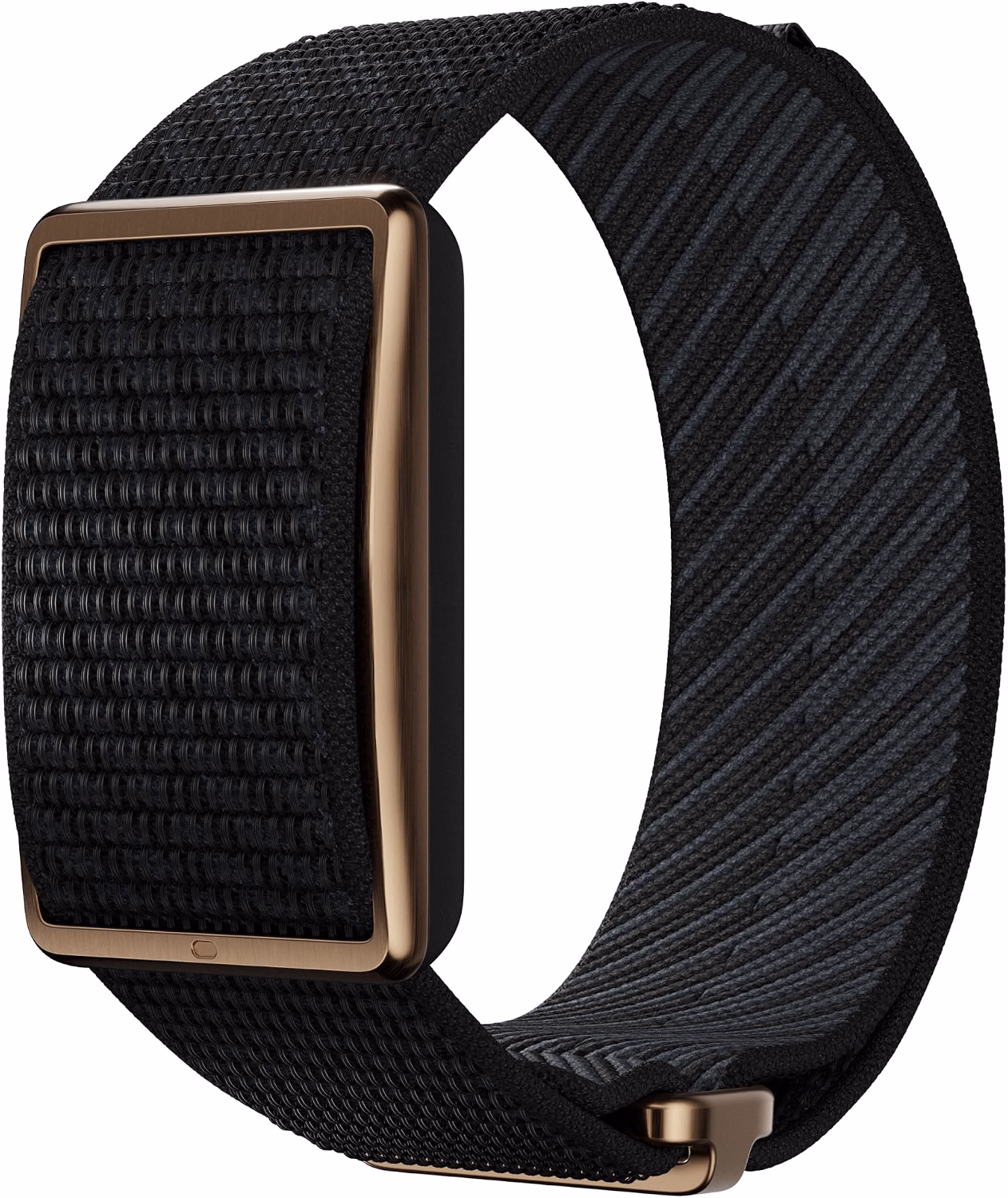 Polar Loop